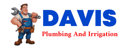 Trusted plumber in SAN PERLITA